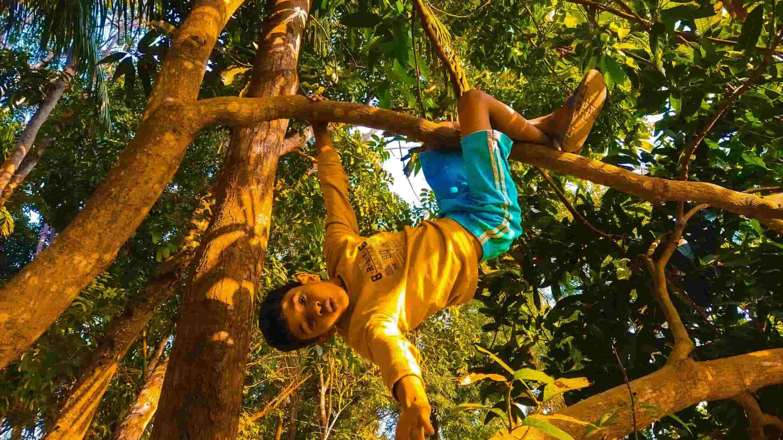 Høyt & Lavt ronimispark